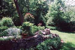 The Garden